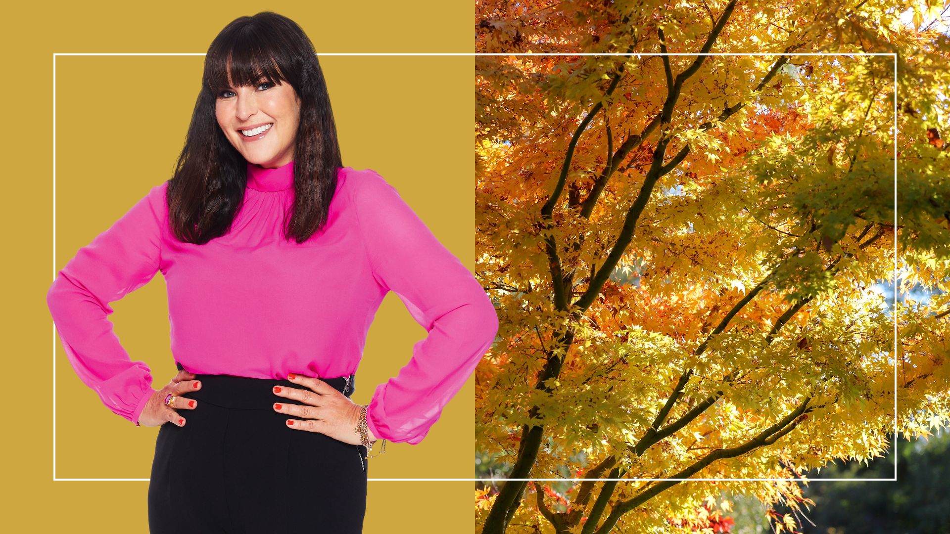 Composite image of Anna Richardson on a yellow-brown background and a sycamore tree